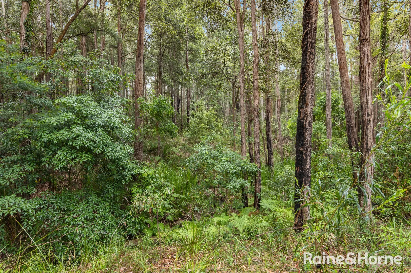 Additional image 6 of 49a Woollamia Road, Falls Creek NSW 2540