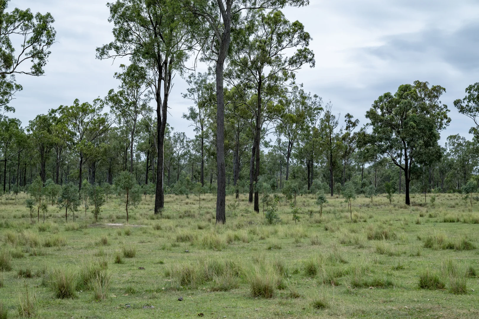 Additional image 29 of 250 Nanango Tarong Road, Nanango QLD 4615