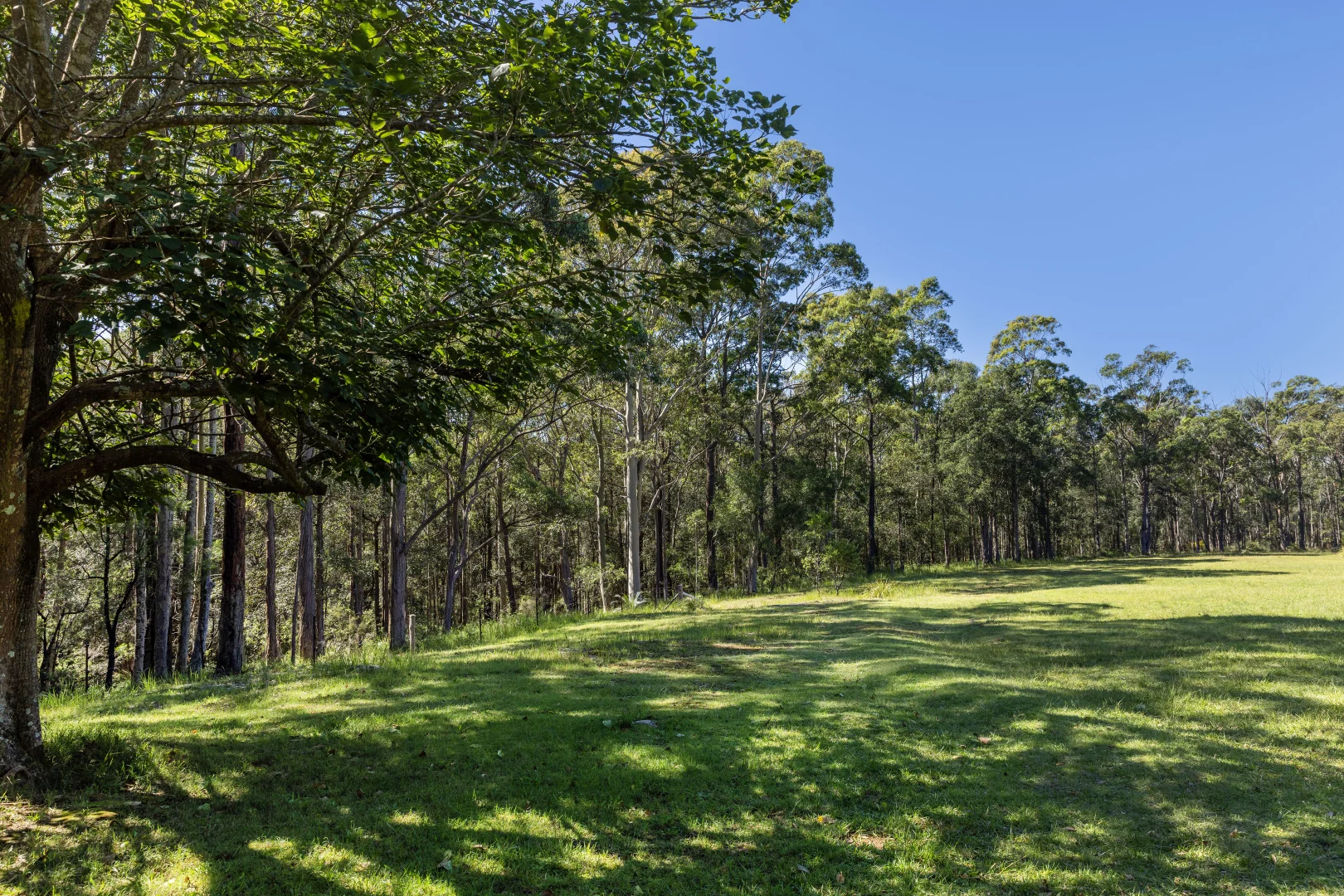 Additional image 18 of 1195 Illaroo Road, Tapitallee NSW 2540