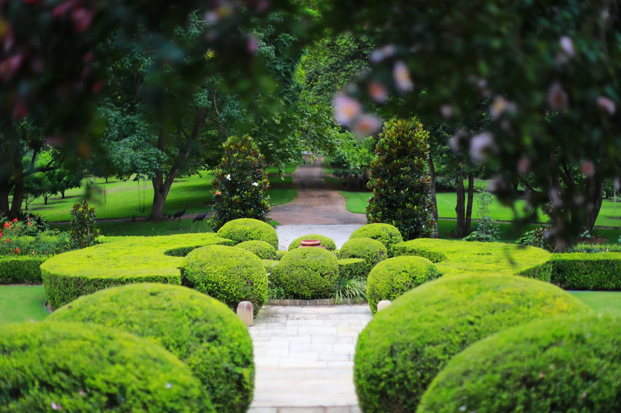 Additional image 15 of 1235 West Portland Road, Lower Portland NSW 2756