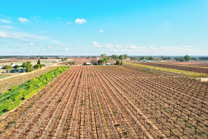 Additional image 13 of 232 Arnold Coats Road, Cobdogla SA 5346