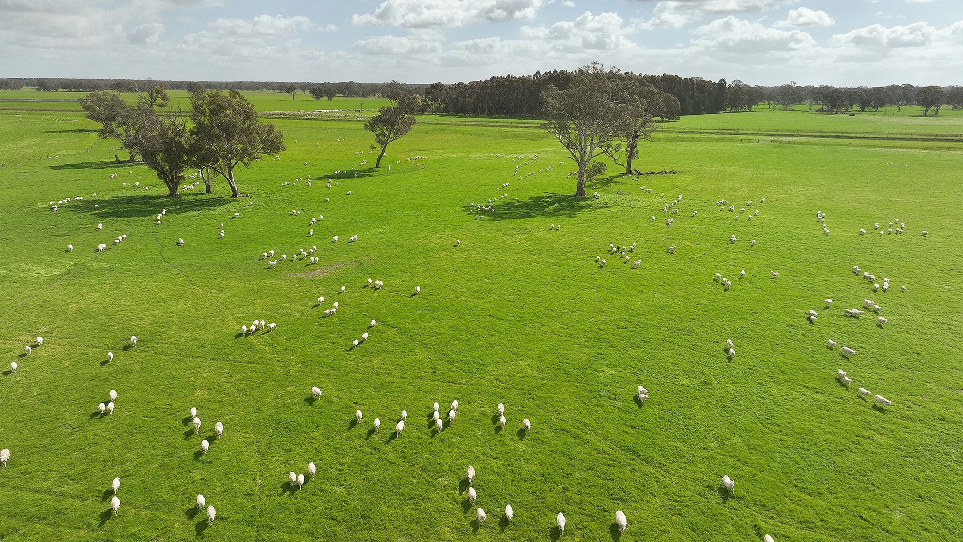 546 Bool Lagoon West Road, Penola SA 5277