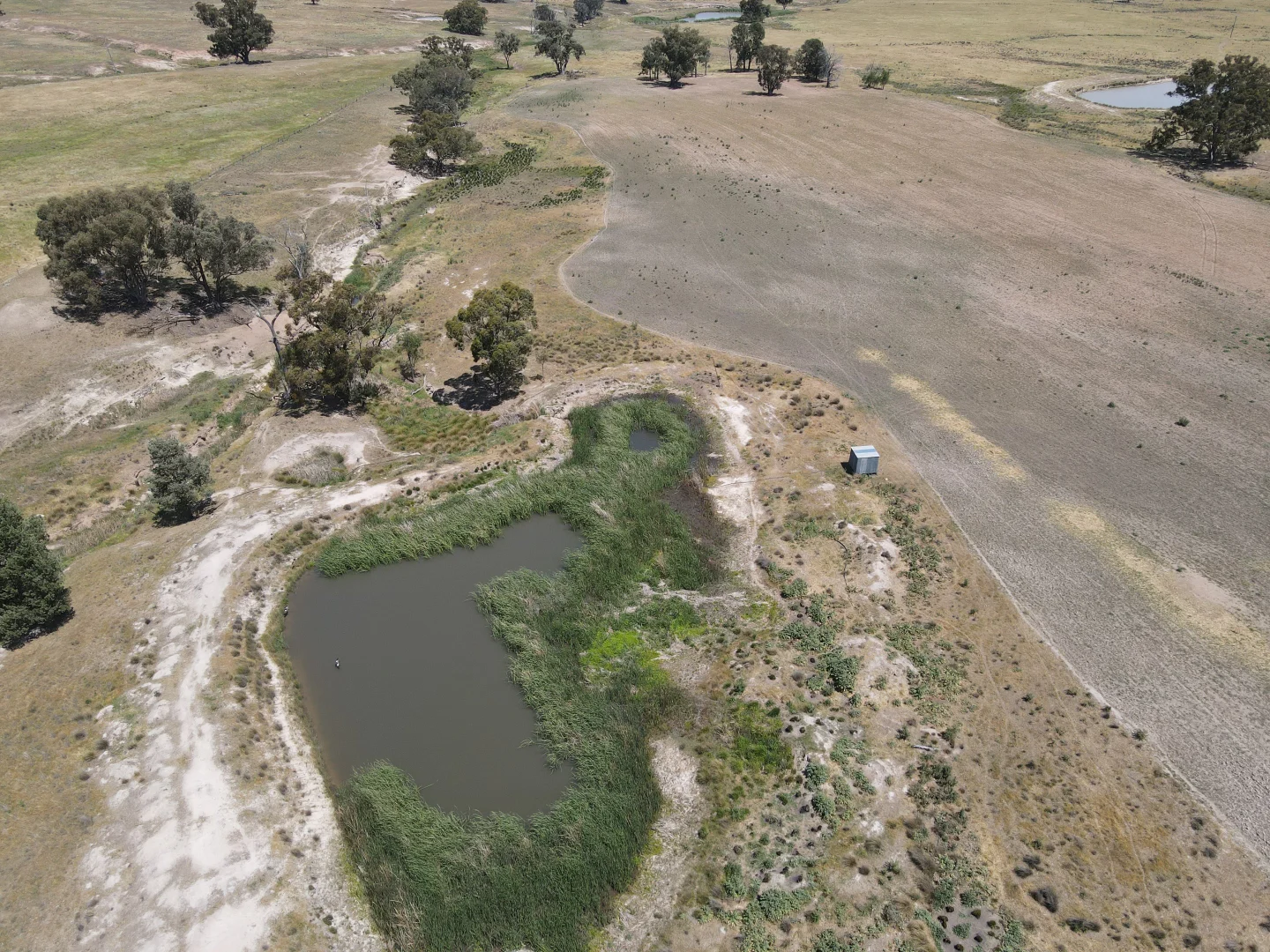 Additional image 12 of "Babynda" 829 Eulimore Road, Eugowra NSW 2806