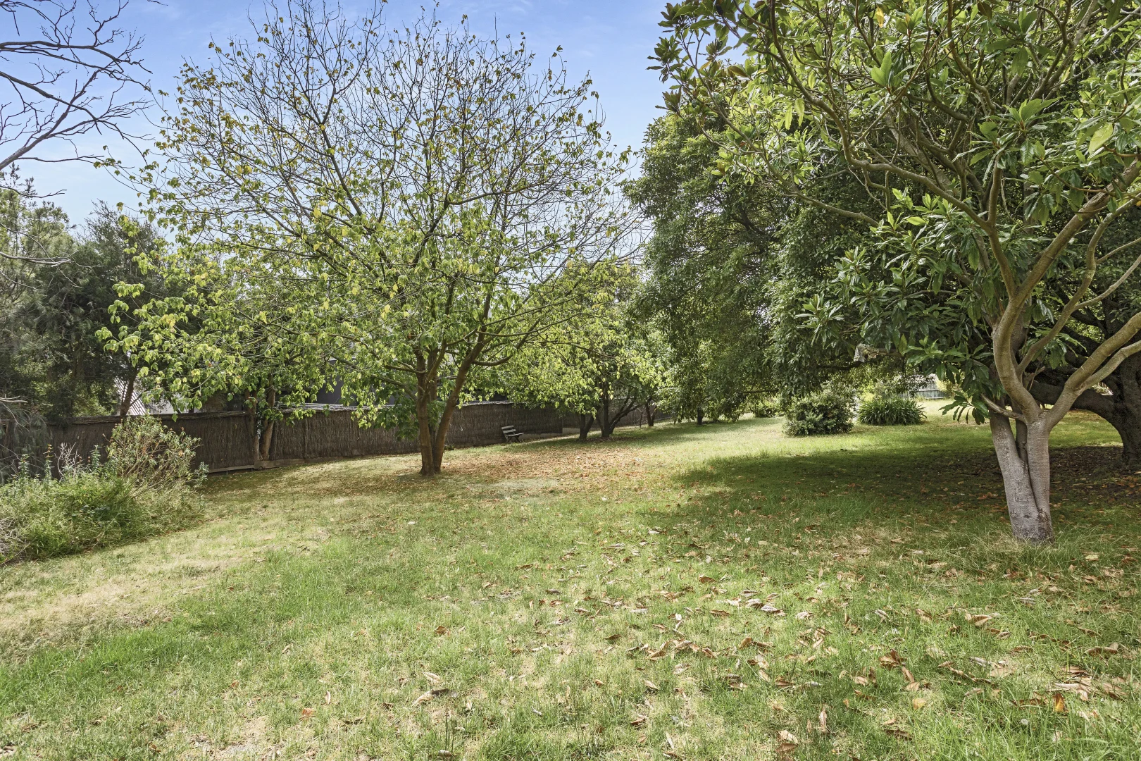 13 Grange Rd, Mornington VIC 3931 photo 3