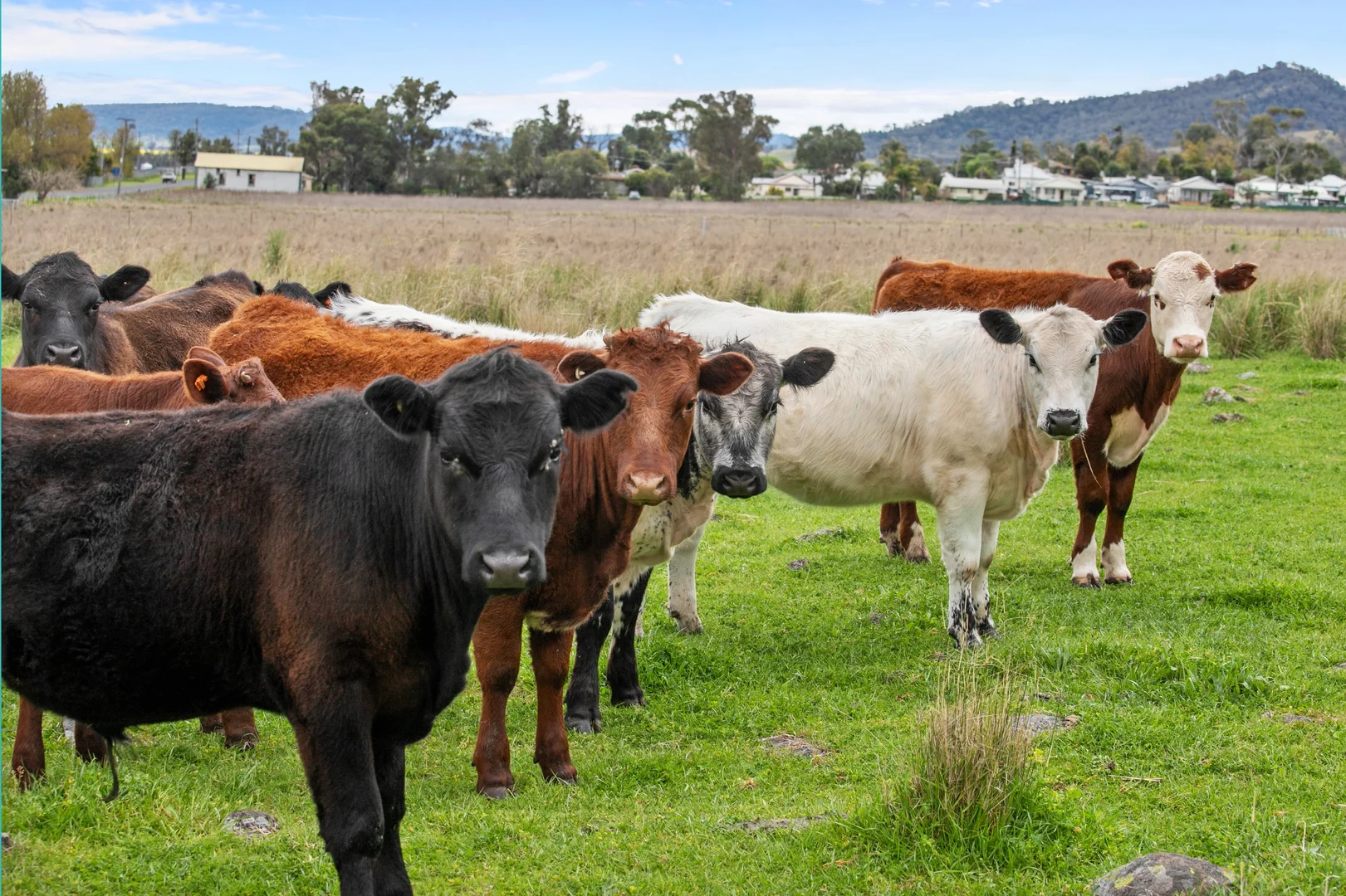 Additional image 20 of "Prairie" 1758 Werris Creek Road, Werris Creek NSW 2341