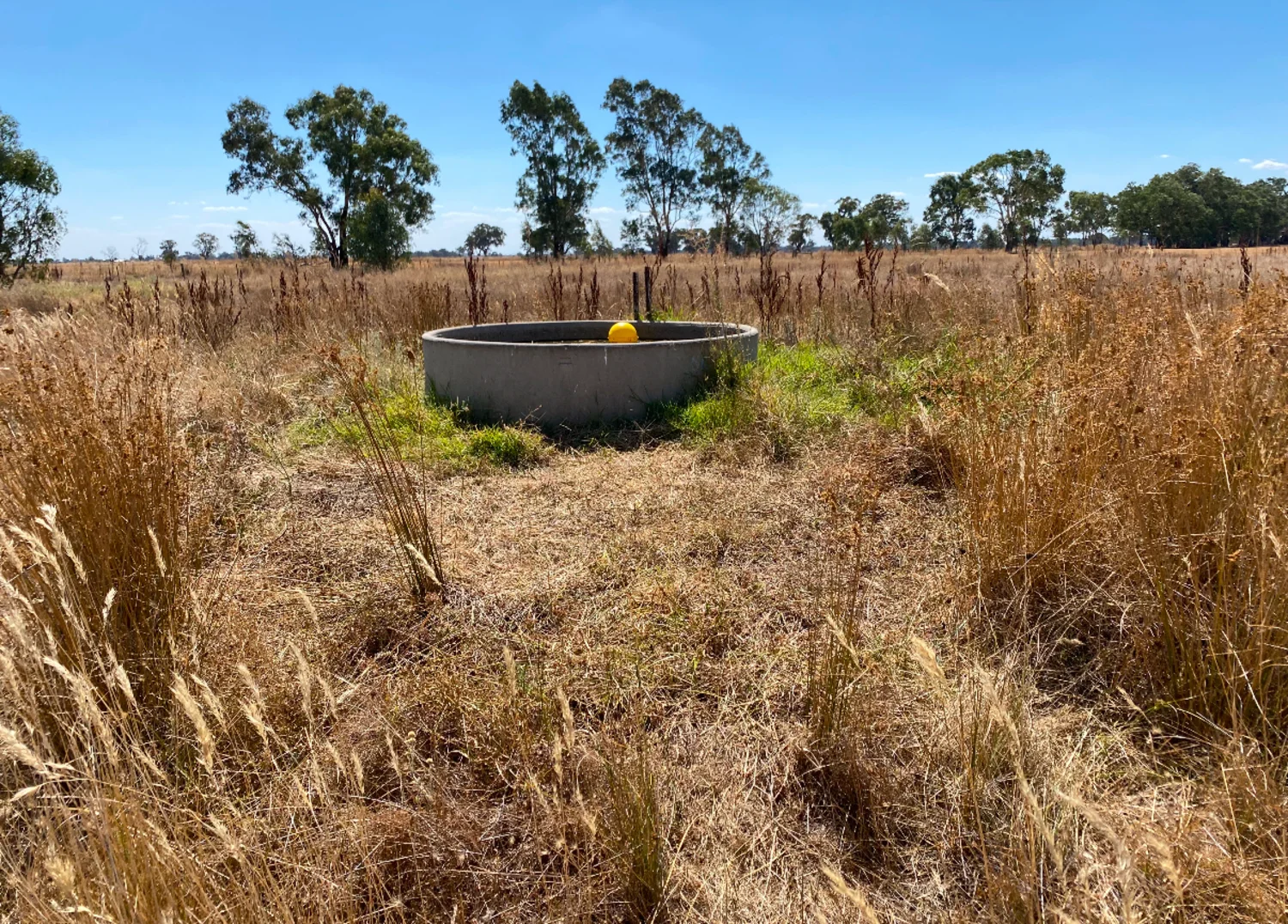 Additional image 6 of 1943 Invergordon Road, Youanmite VIC 3646