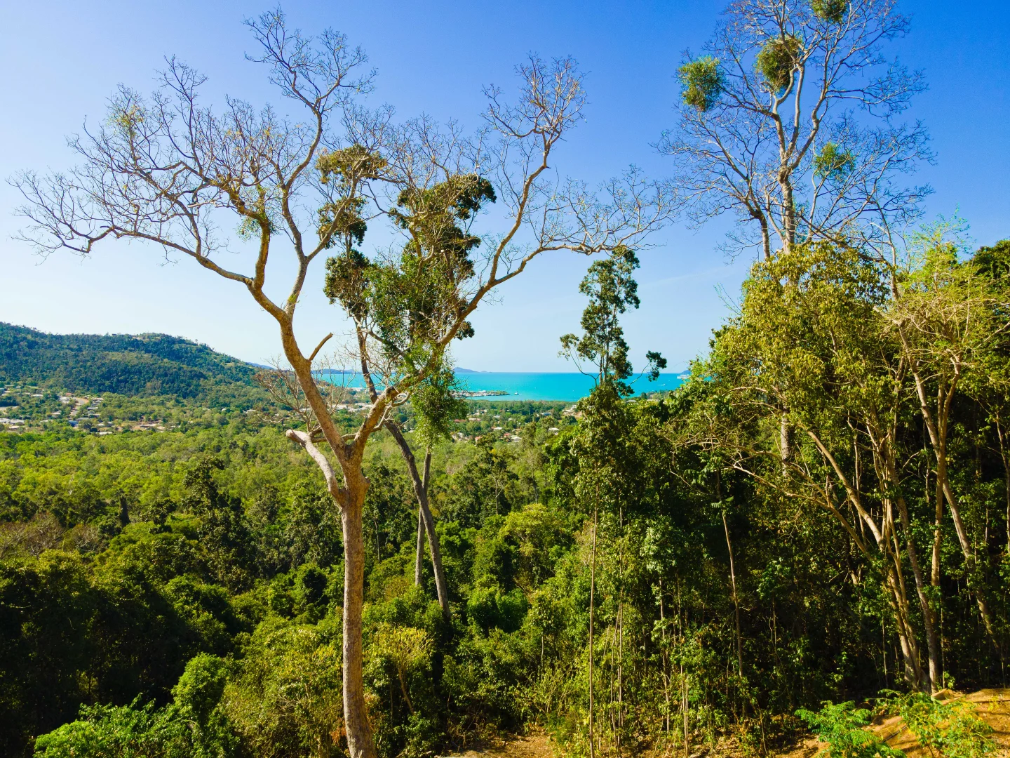 Additional image 9 of Lot 6/89 Timberland Road, Jubilee Pocket QLD 4802