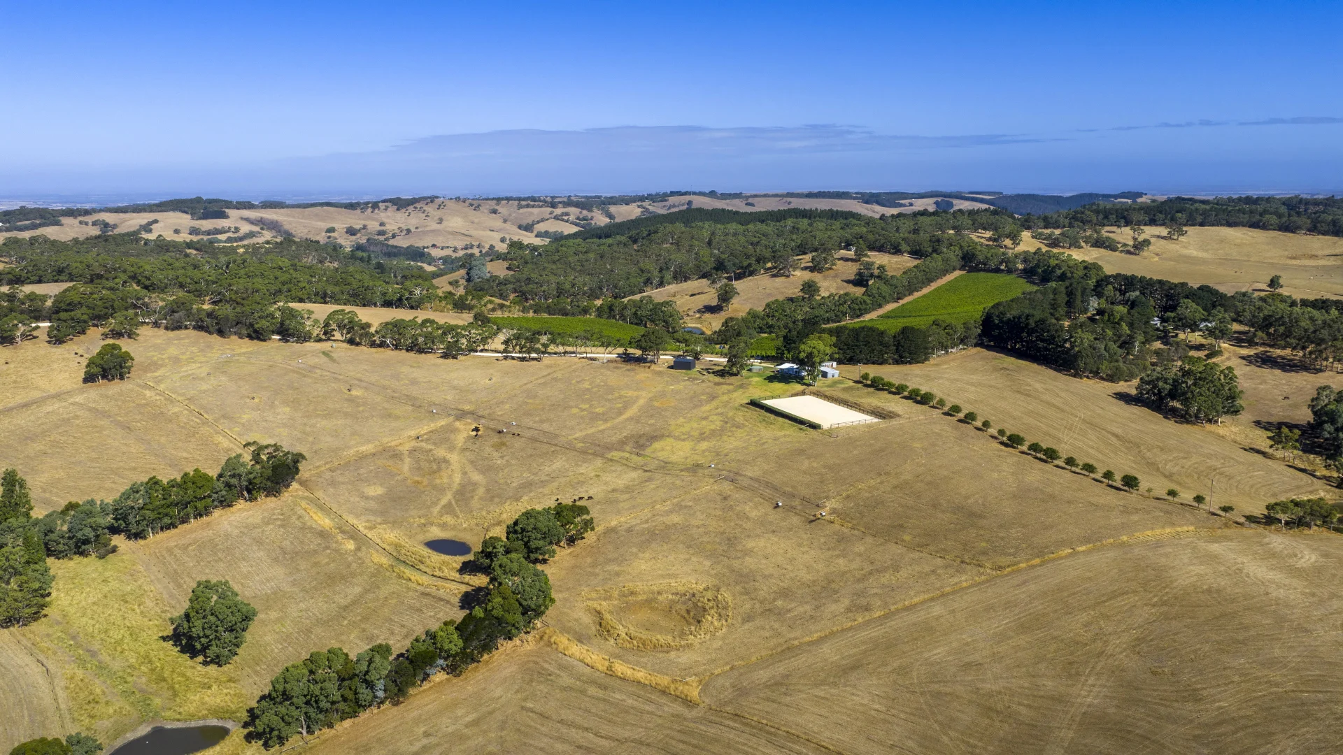 Additional image 68 of 224 Nicol Road, Meadows SA 5201