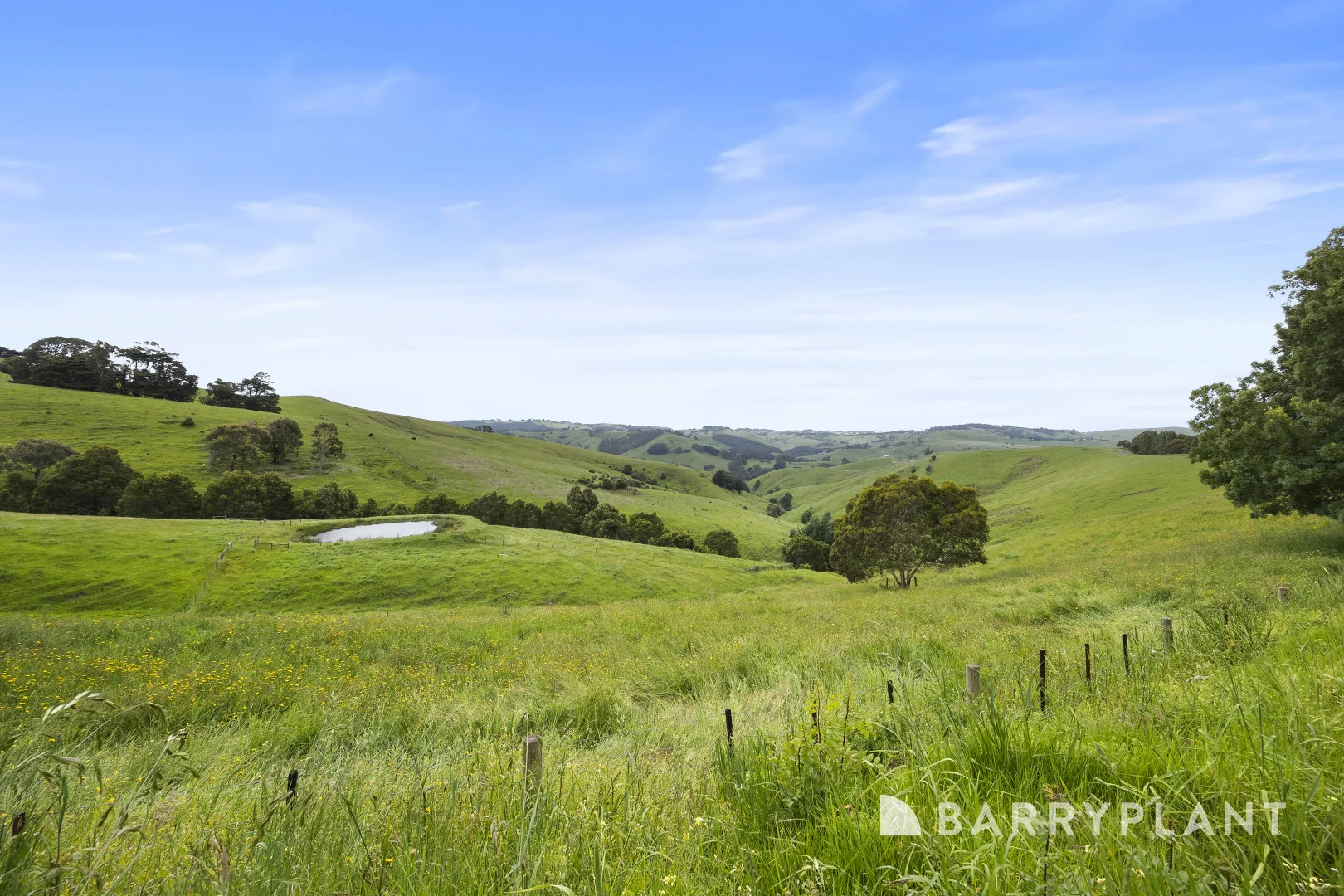 Additional image 2 of 220 Ross And Witherdens Road, Strzelecki VIC 3950
