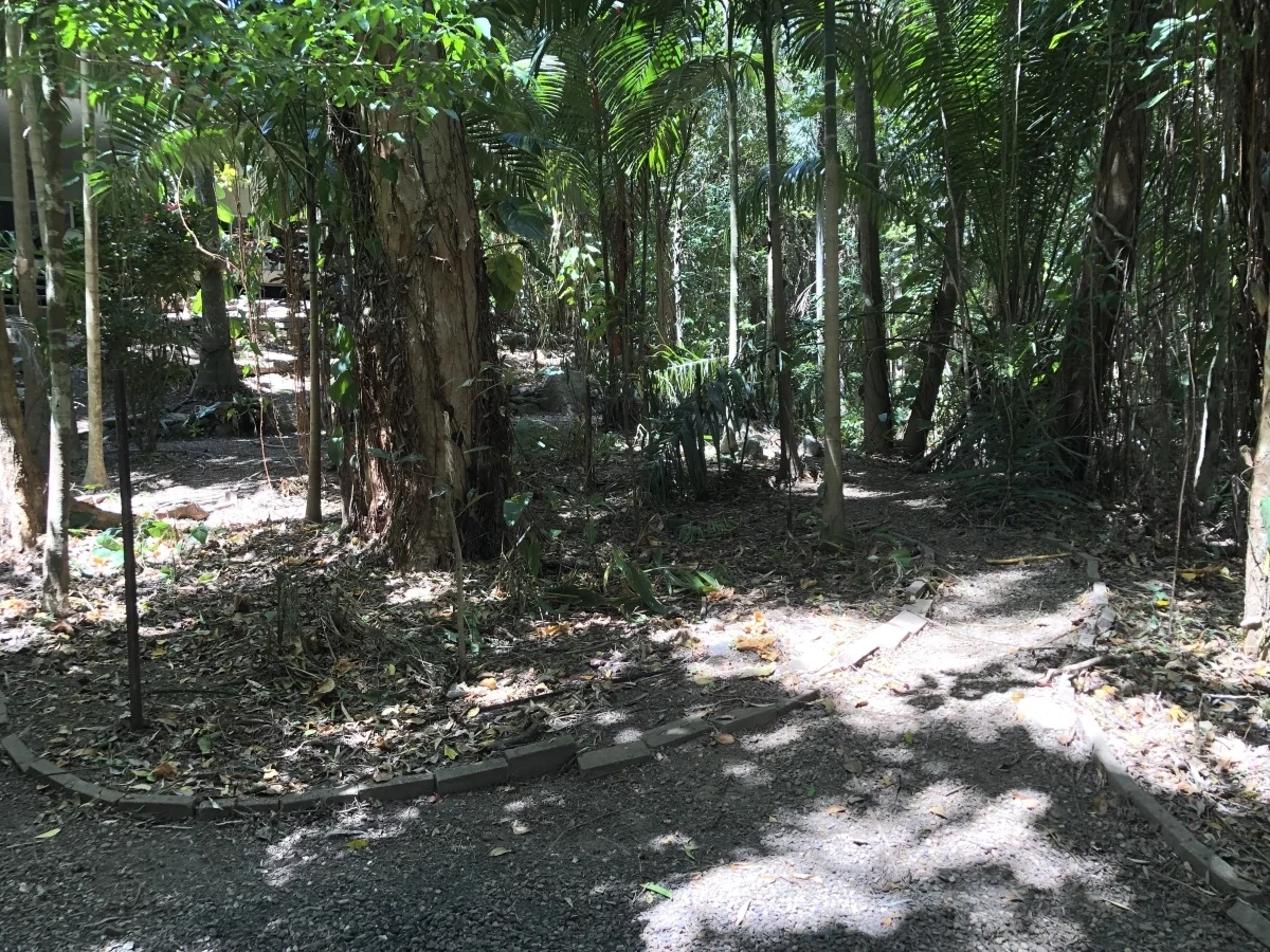 Additional image 44 of 34 Savage St, Cooktown QLD 4895