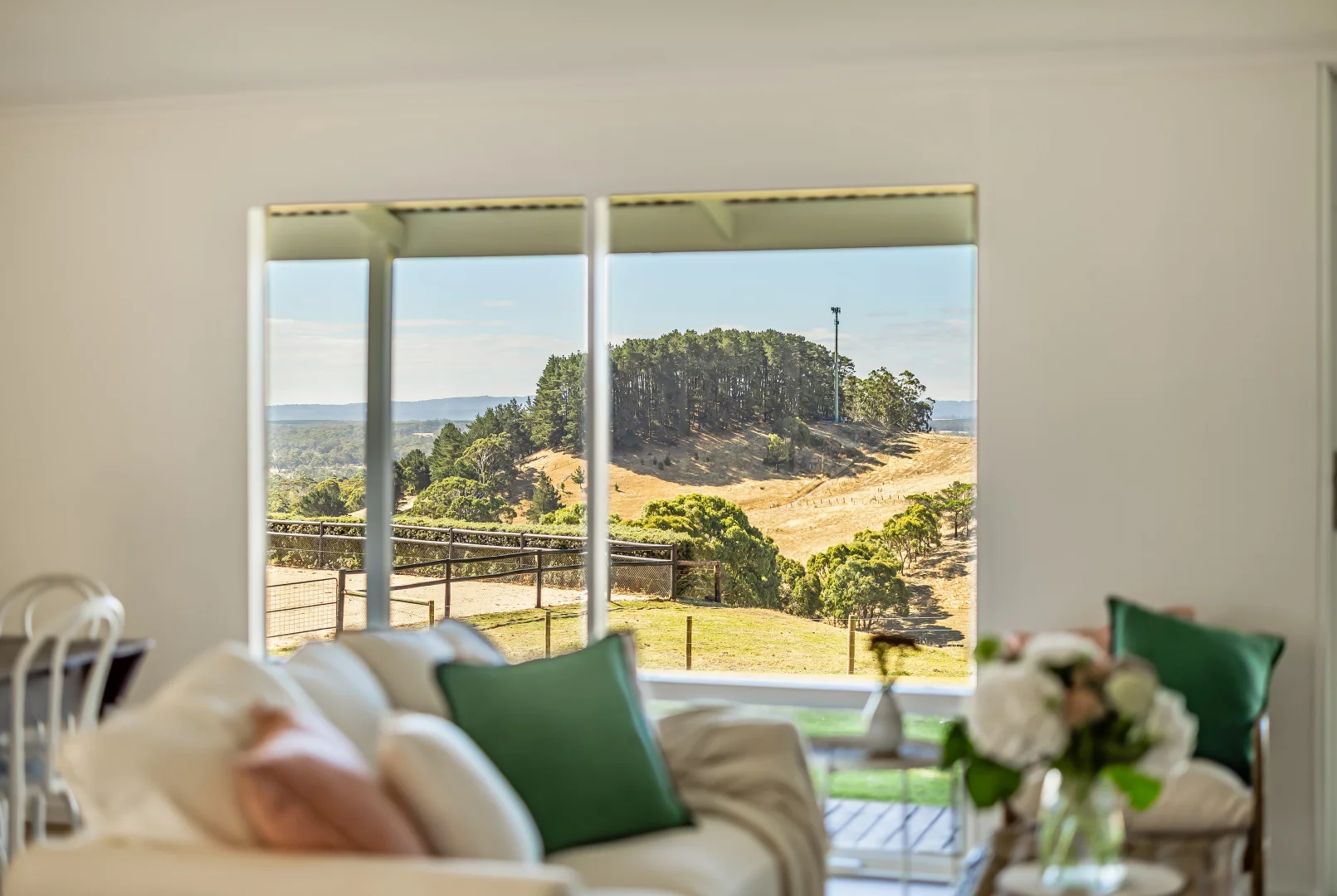 Additional image 50 of 224 Nicol Road, Meadows SA 5201