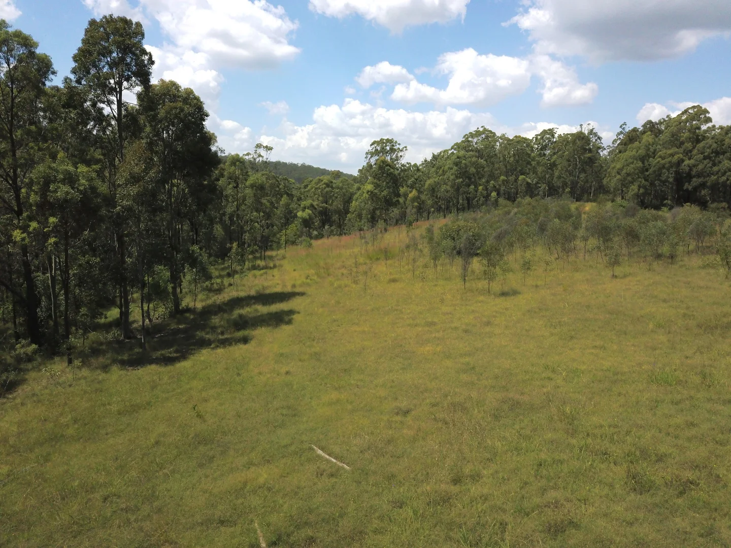 Additional image 2 of 1447 Gresford Road, Vacy NSW 2421