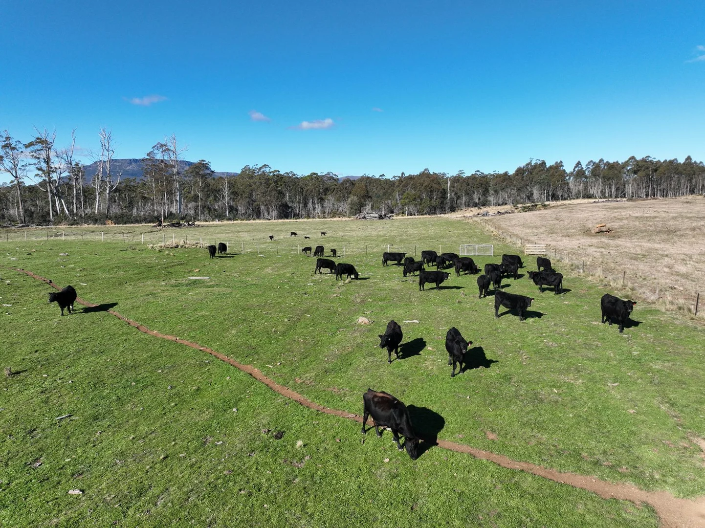 Additional image 13 of 560 Gads Hill Road, Mersey Forest TAS 7304