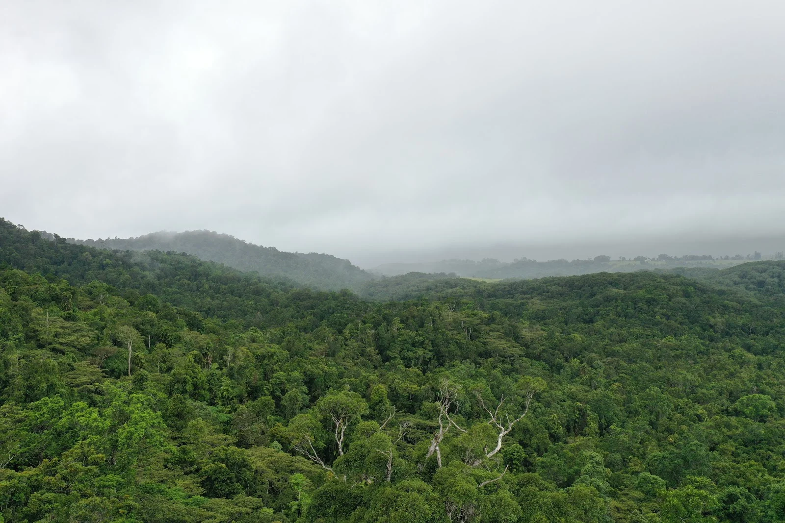 Additional image 18 of Lot 213 Kelly Road, Ellinjaa QLD 4886