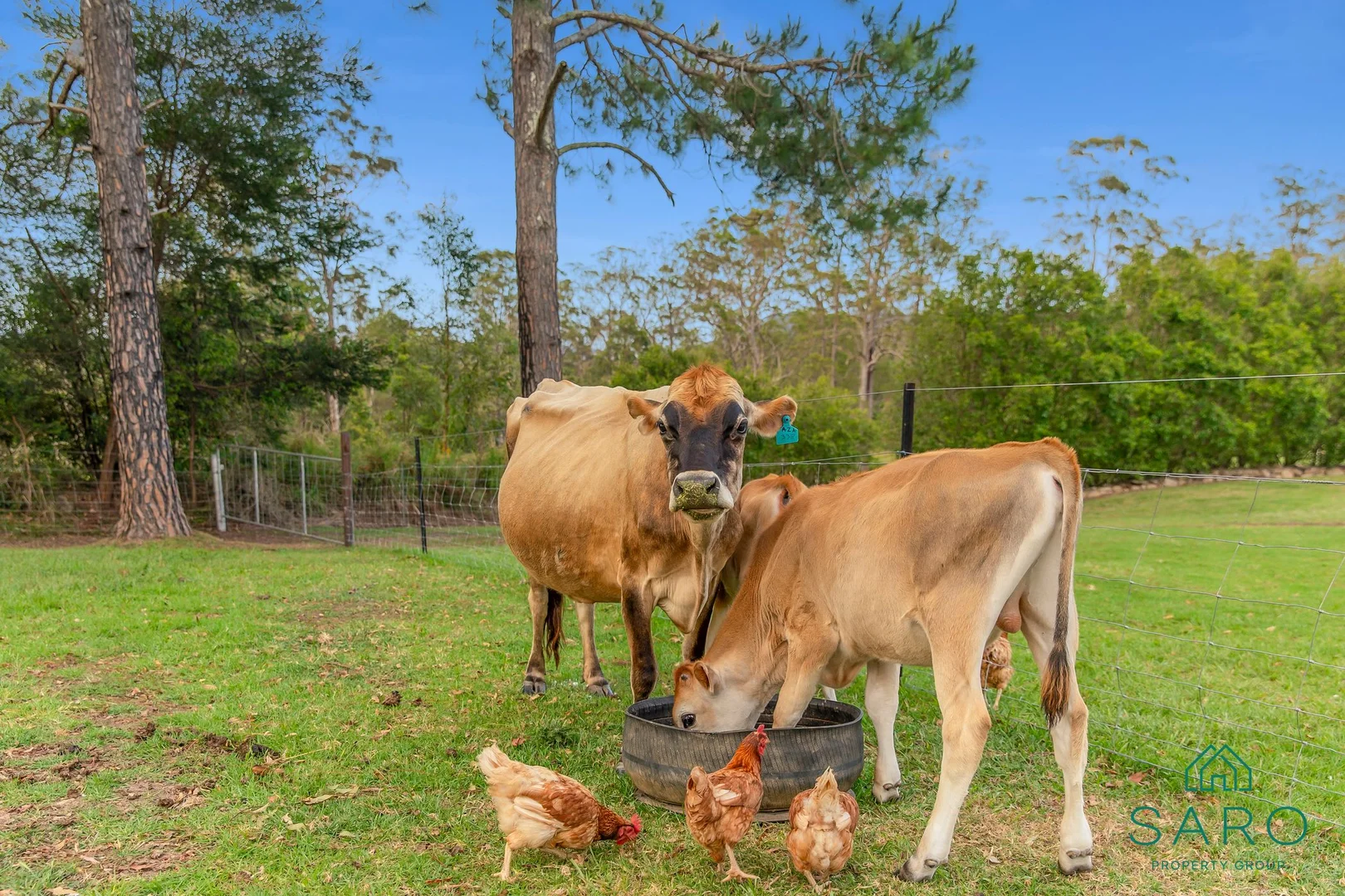 Additional image 28 of 109 Ellems Quarry Road, Nana Glen NSW 2450