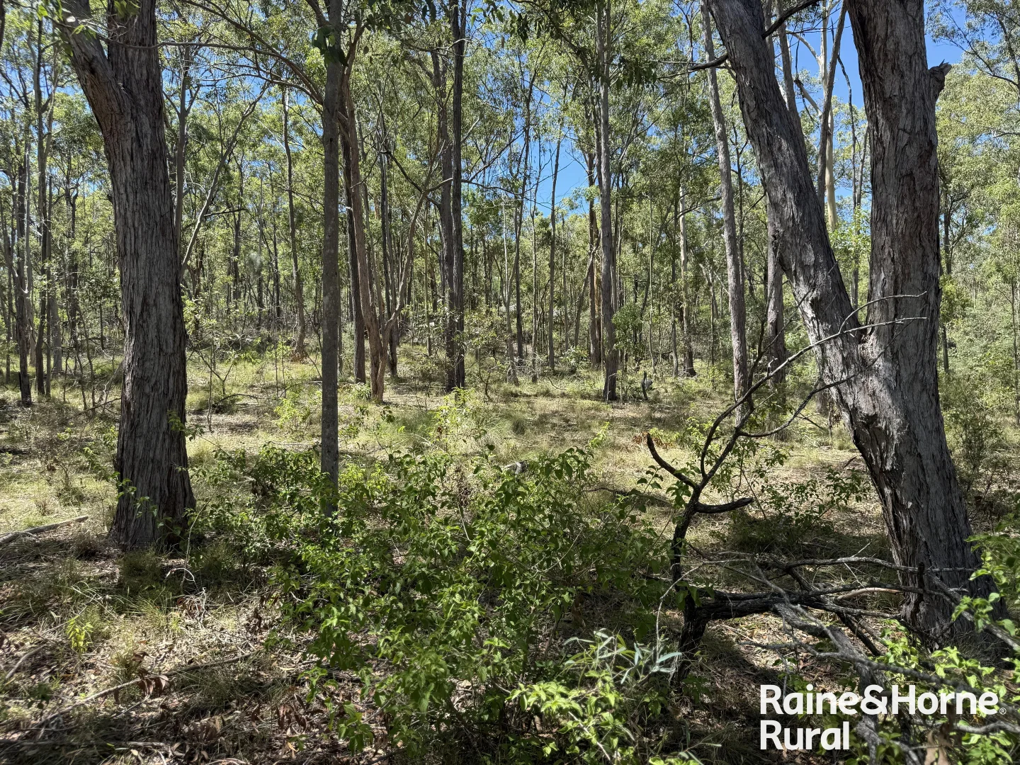 Additional image 6 of Lot 158 Brocklehurst road, Wattle Camp QLD 4615