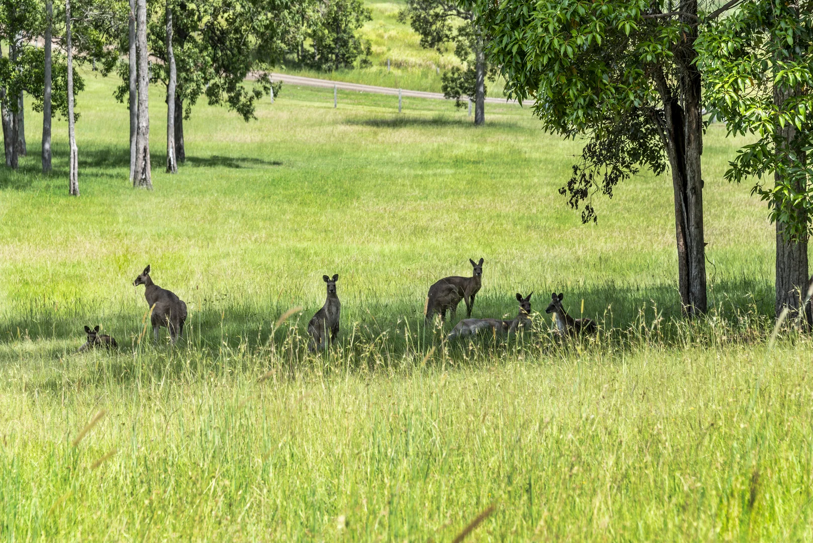 Additional image 34 of 240 Keefton Road, Woondum QLD 4570