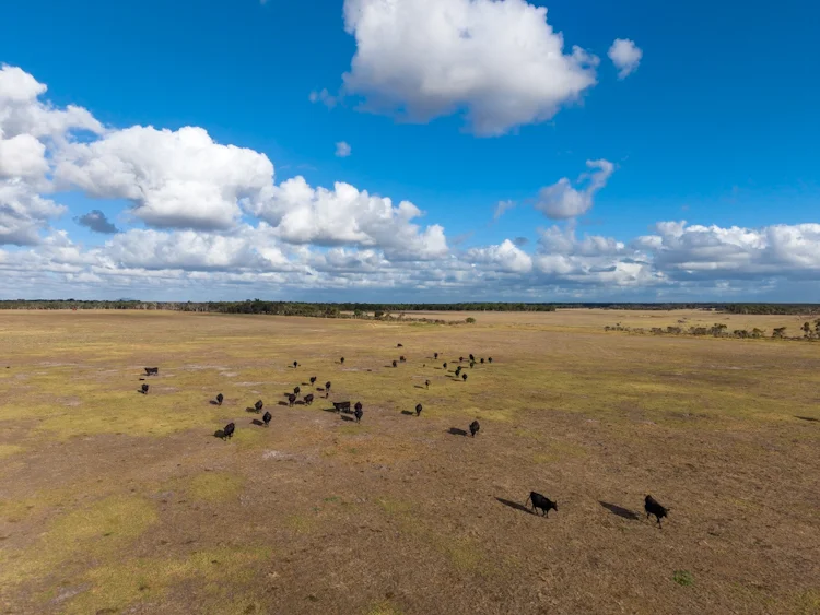 Additional image 7 of Lot 474 Yellanup Road, Narrikup WA 6326