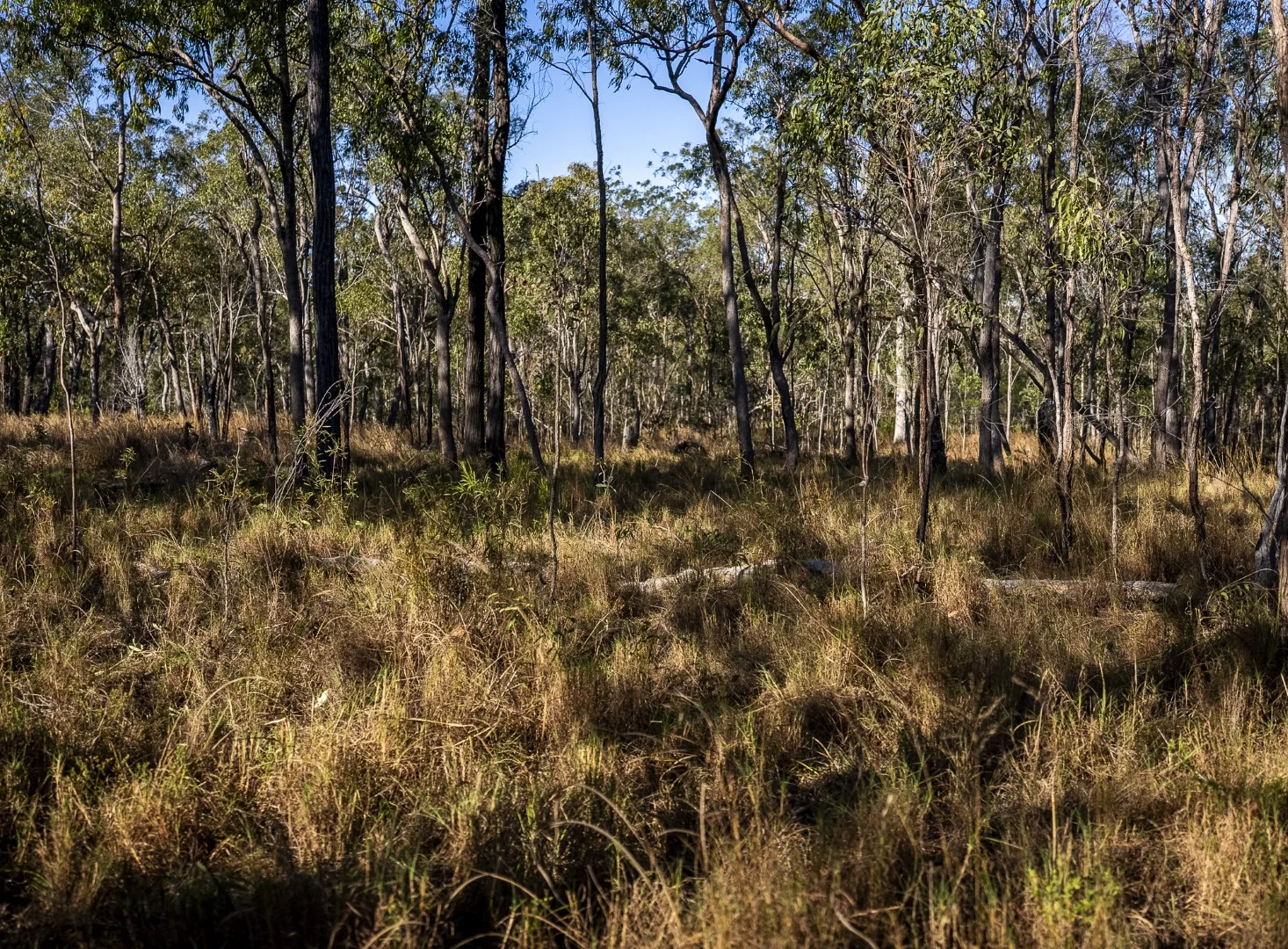 Additional image 18 of 620 Herbert River Road, Innot Hot Springs QLD 4872