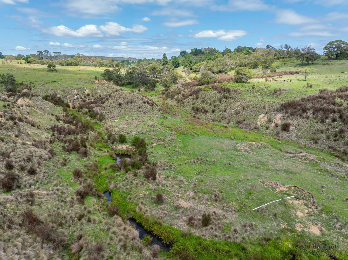 Additional image 5 of 1130 Majors Creek Road, Braidwood NSW 2622