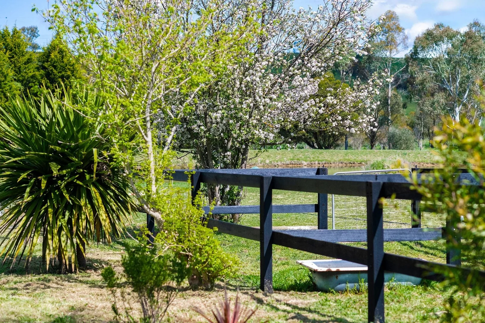 Additional image 18 of 138 Bibbys Lane, Werai NSW 2577