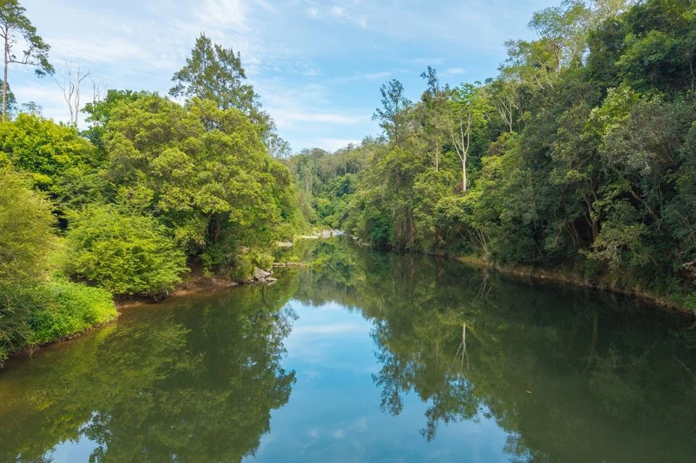 Additional image 8 of 870 Darkwood Road, Thora NSW 2454