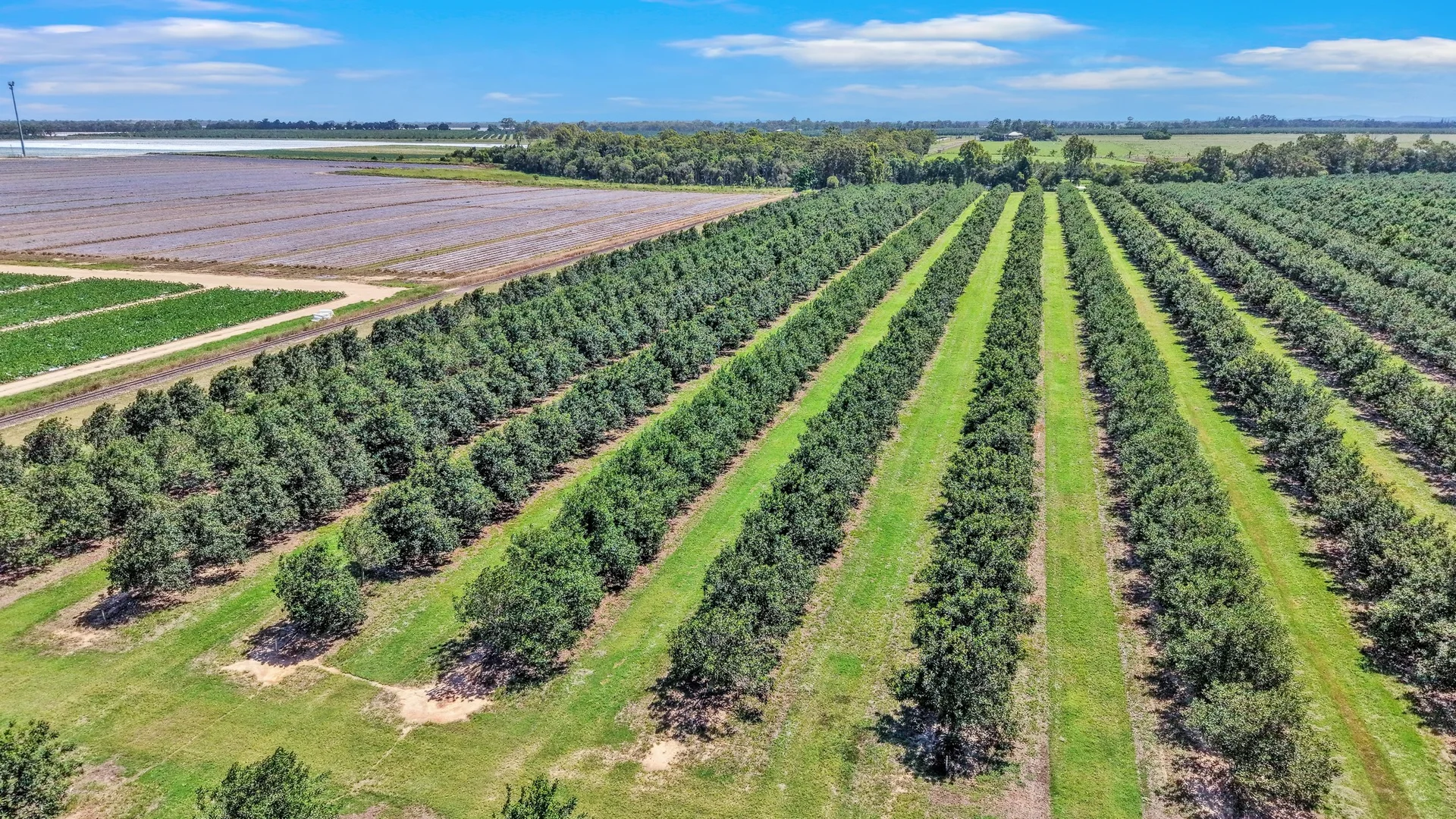 Additional image 11 of 195 Pashleys Road, Welcome Creek QLD 4670