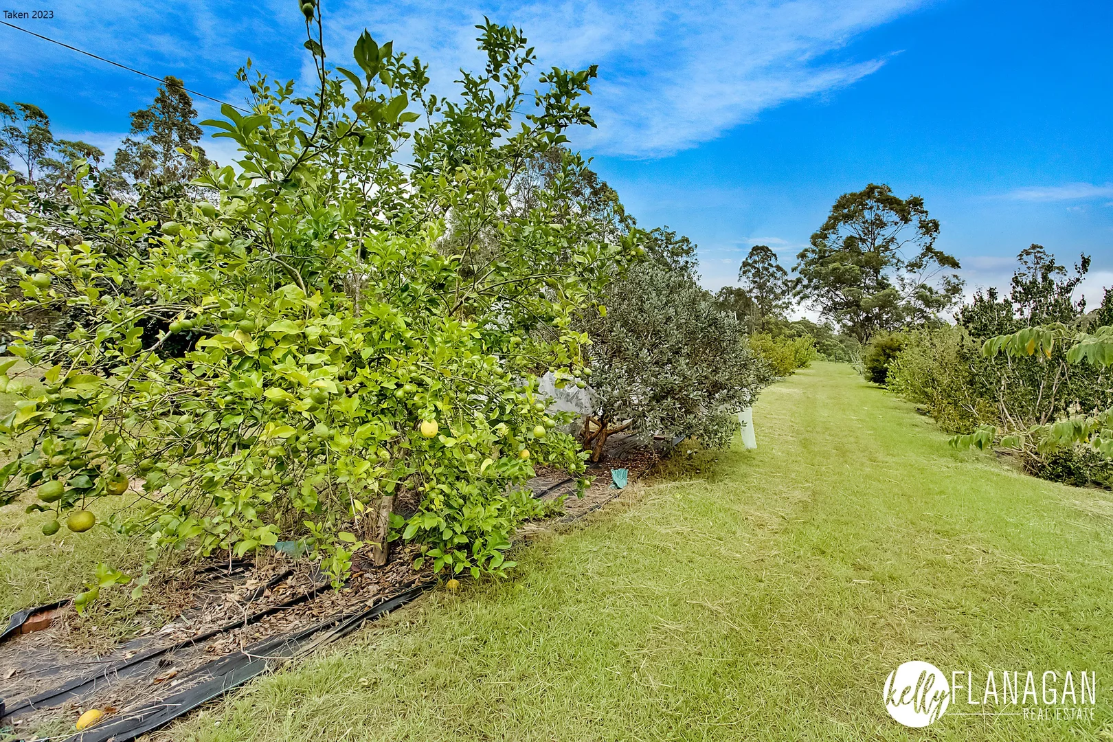 Additional image 21 of 136 Roses Road, Collombatti NSW 2440