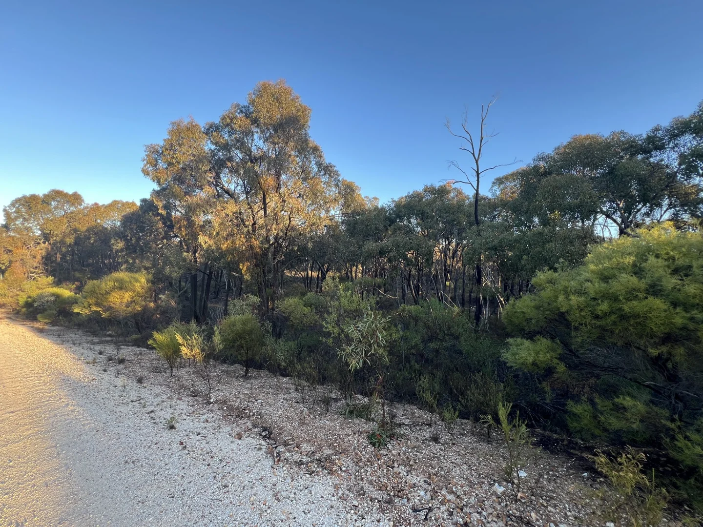 Additional image 12 of 373 Josephine Drive, Wedderburn VIC 3518