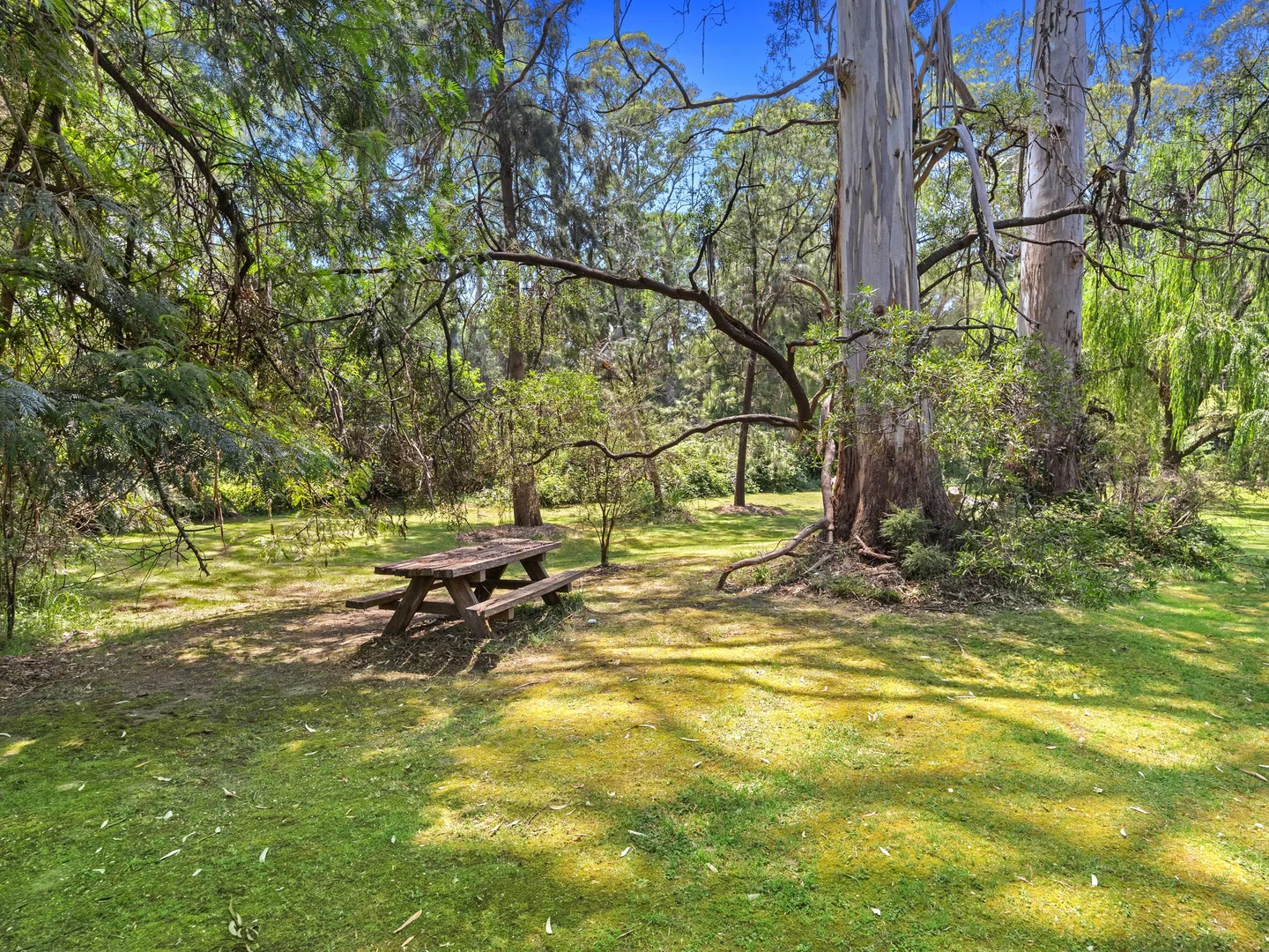Additional image 14 of 40 Mareeba Avenue, Buxton VIC 3711