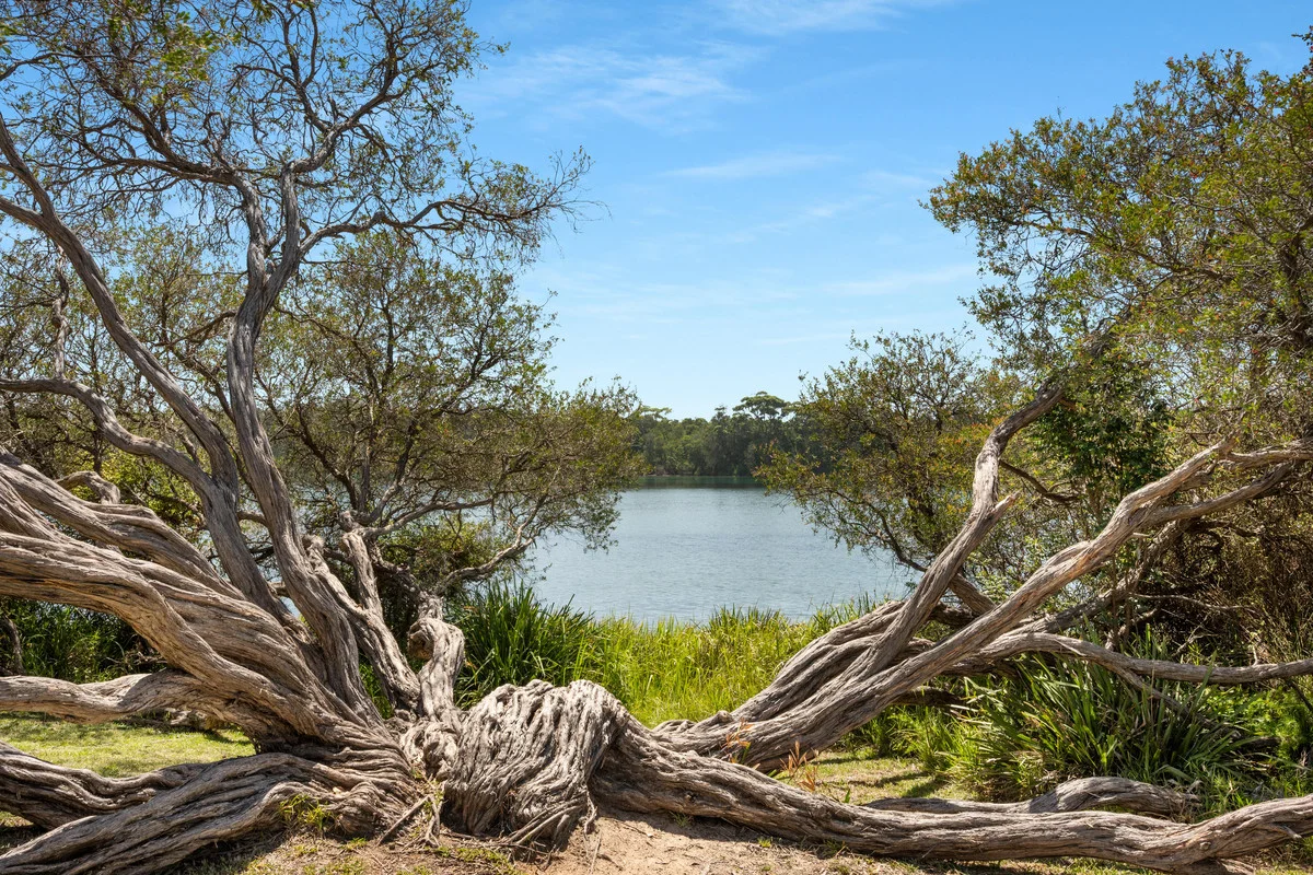 Additional image 17 of 70 Charles Avenue, Minnamurra NSW 2533