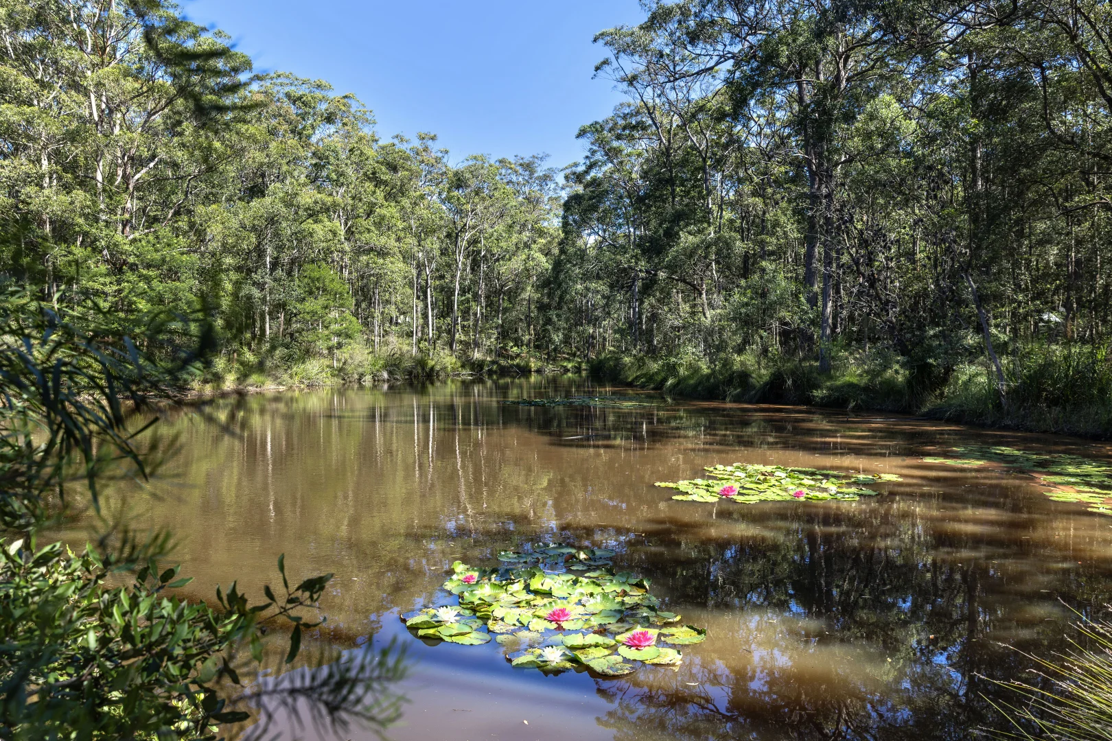 Additional image 12 of 1195 Illaroo Road, Tapitallee NSW 2540