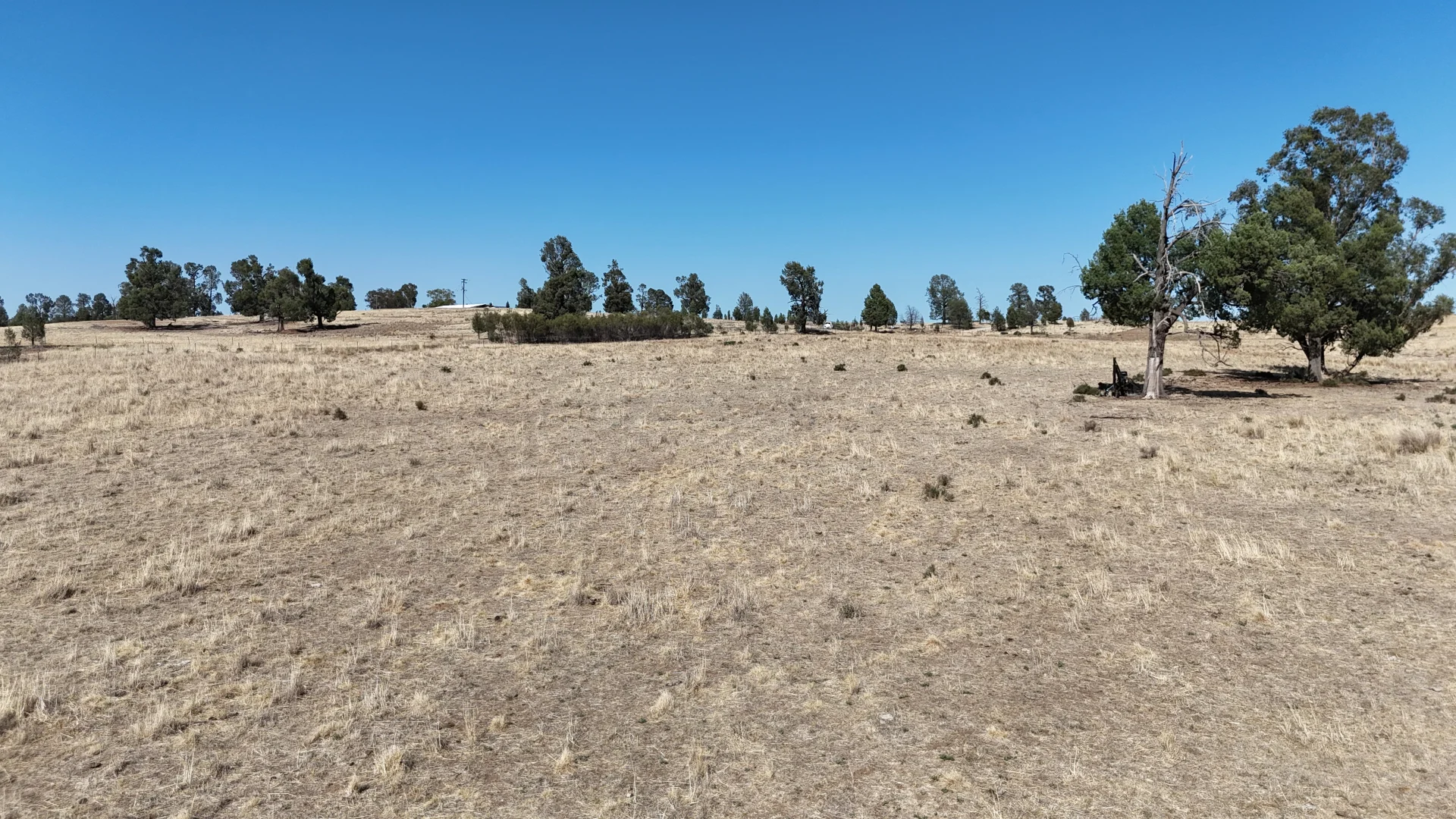 Additional image 9 of 40 Cooks Hill Lane, Alectown NSW 2870