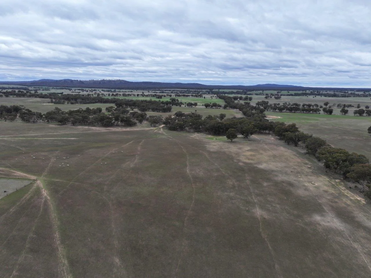 Additional image 9 of Lot 1 Rheola - Llanelly Road, Murphys Creek VIC 3551