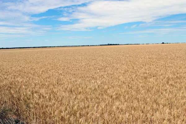 Additional image 2 of 42 Lah Angle Road, Warracknabeal VIC 3393