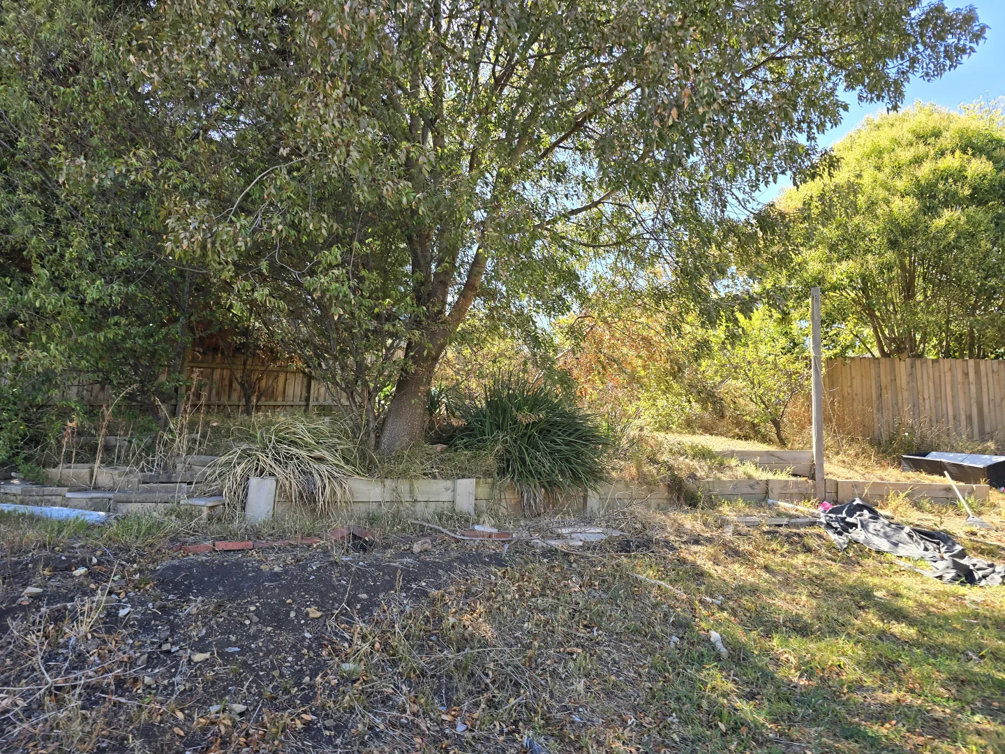 Additional image 6 of 10 Parry Drive, Mooroolbark VIC 3138