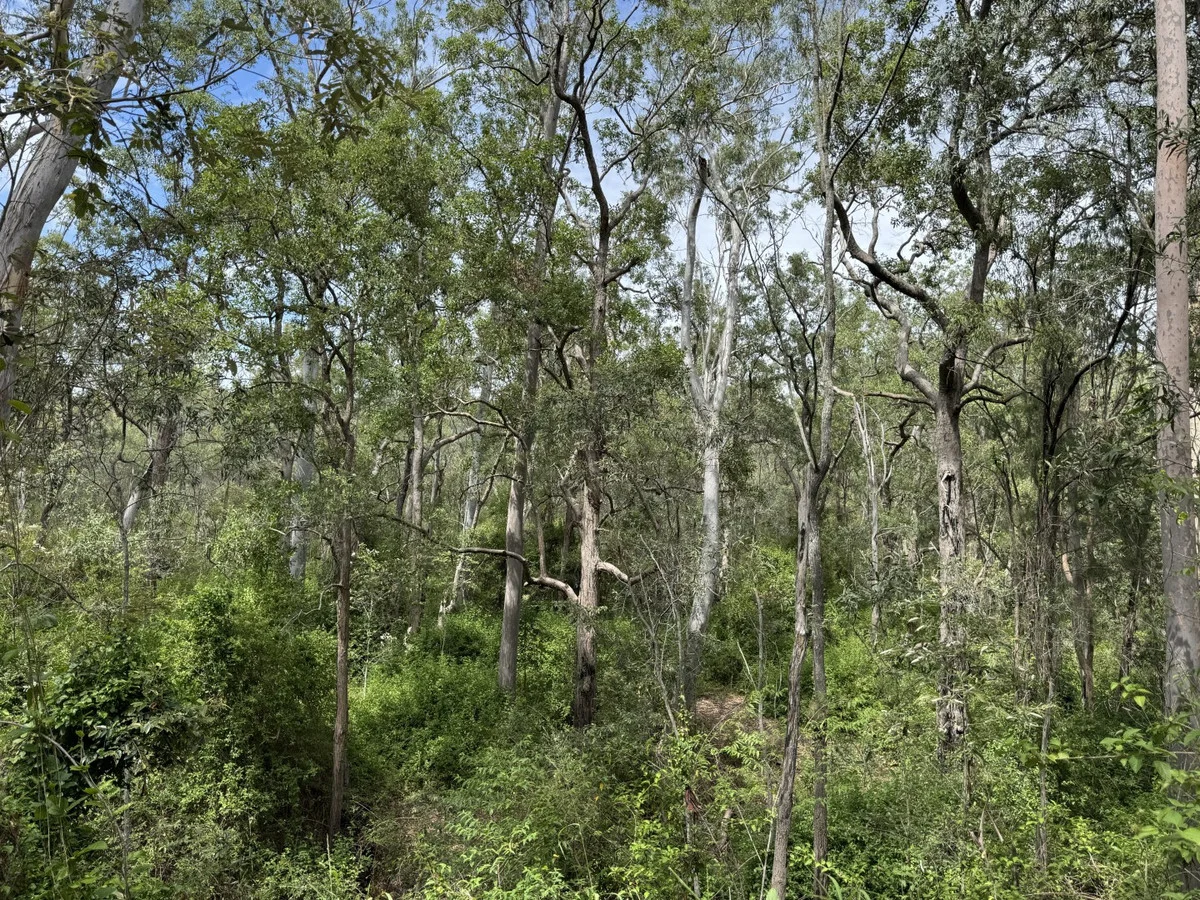 Additional image 26 of Hurdle Gully Road, Monto QLD 4630