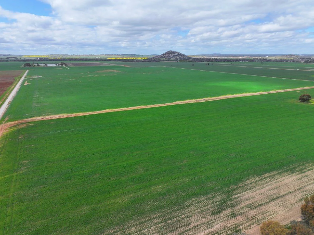 Additional image 5 of - Oneil Street, Pyramid Hill VIC 3575