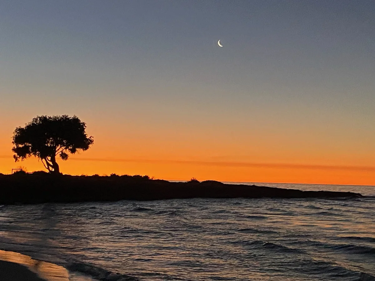 Additional image 6 of 7 Phyllis Street, Broadwater WA 6280