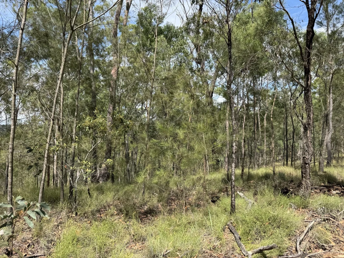 Additional image 9 of Hurdle Gully Road, Monto QLD 4630