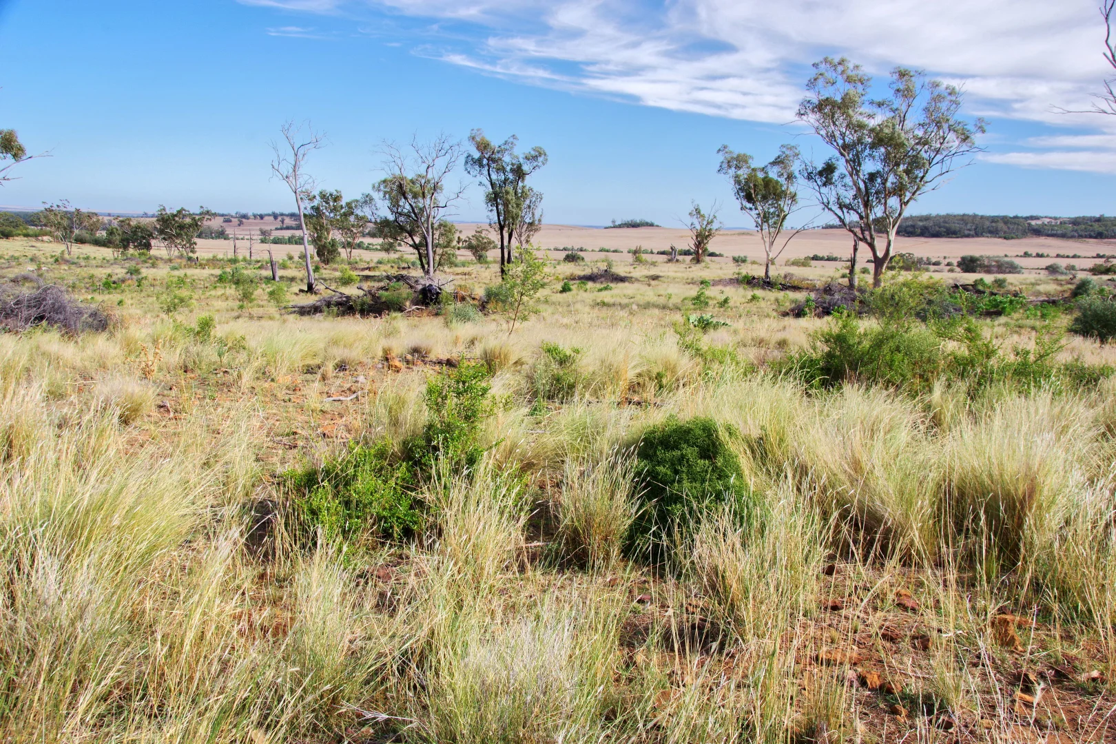 Additional image 44 of 2381. Killarney Gap Road, Narrabri NSW 2390