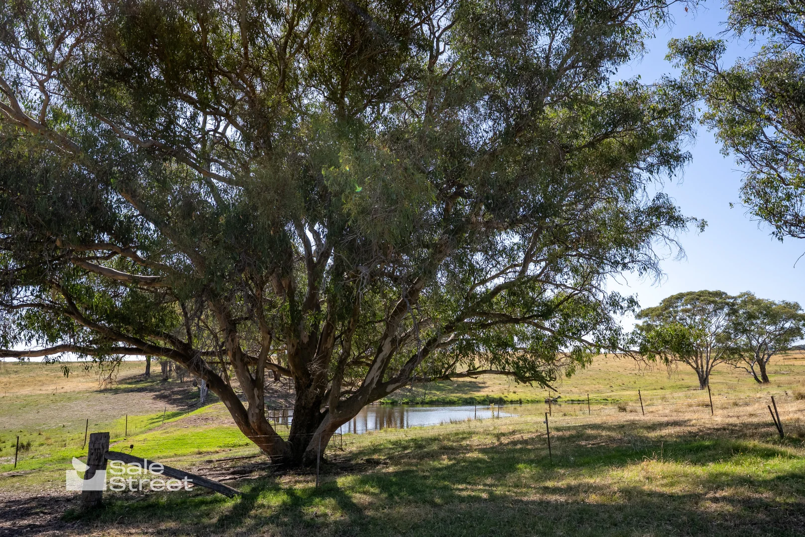 Additional image 26 of 90 Convent Lane, Borenore NSW 2800