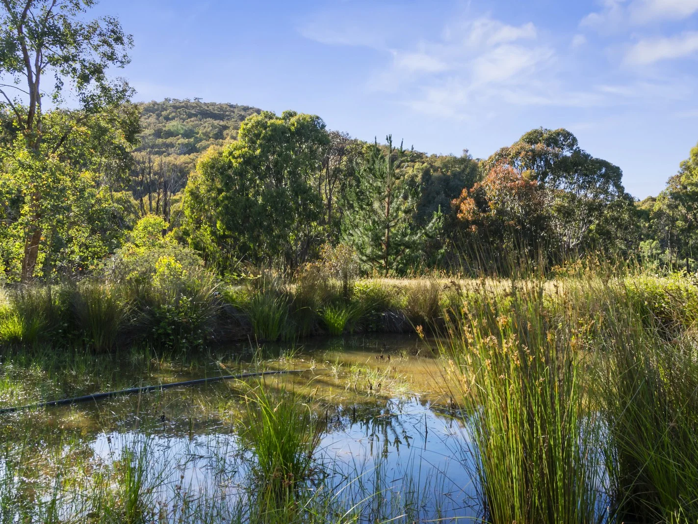 Additional image 12 of 486 Mitchell Road, Tatong VIC 3673