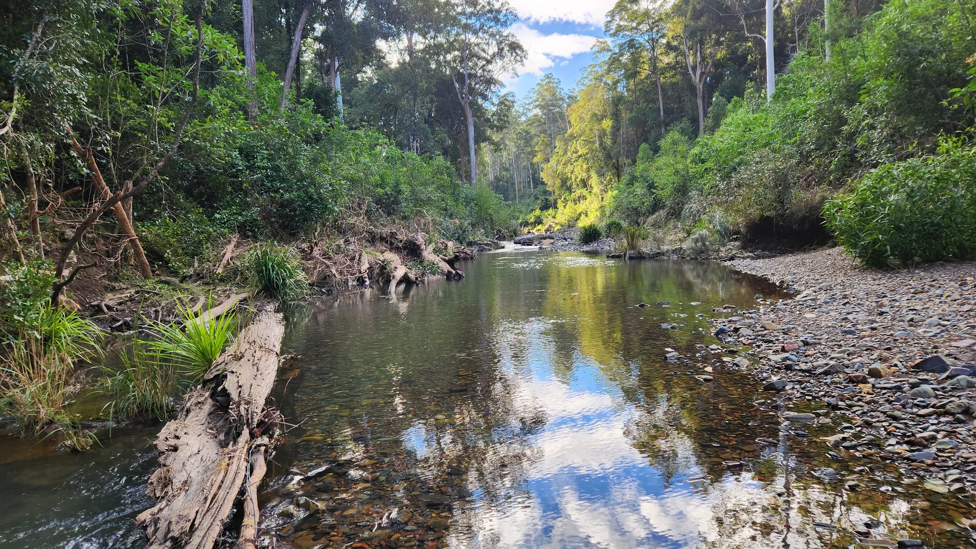 Additional image 11 of 427 Shaws Road, Hollisdale NSW 2446