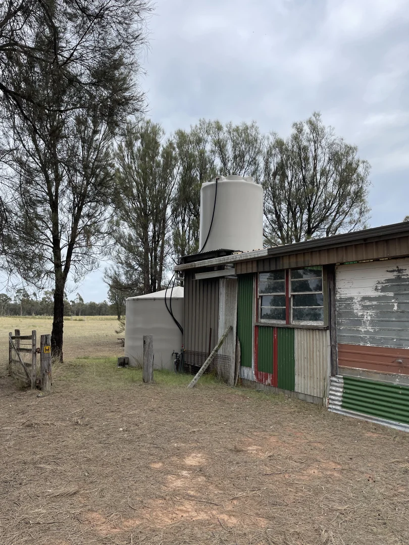 Additional image 10 of 'Libertyfield' 488 Macquarie Drive, Leyburn QLD 4365
