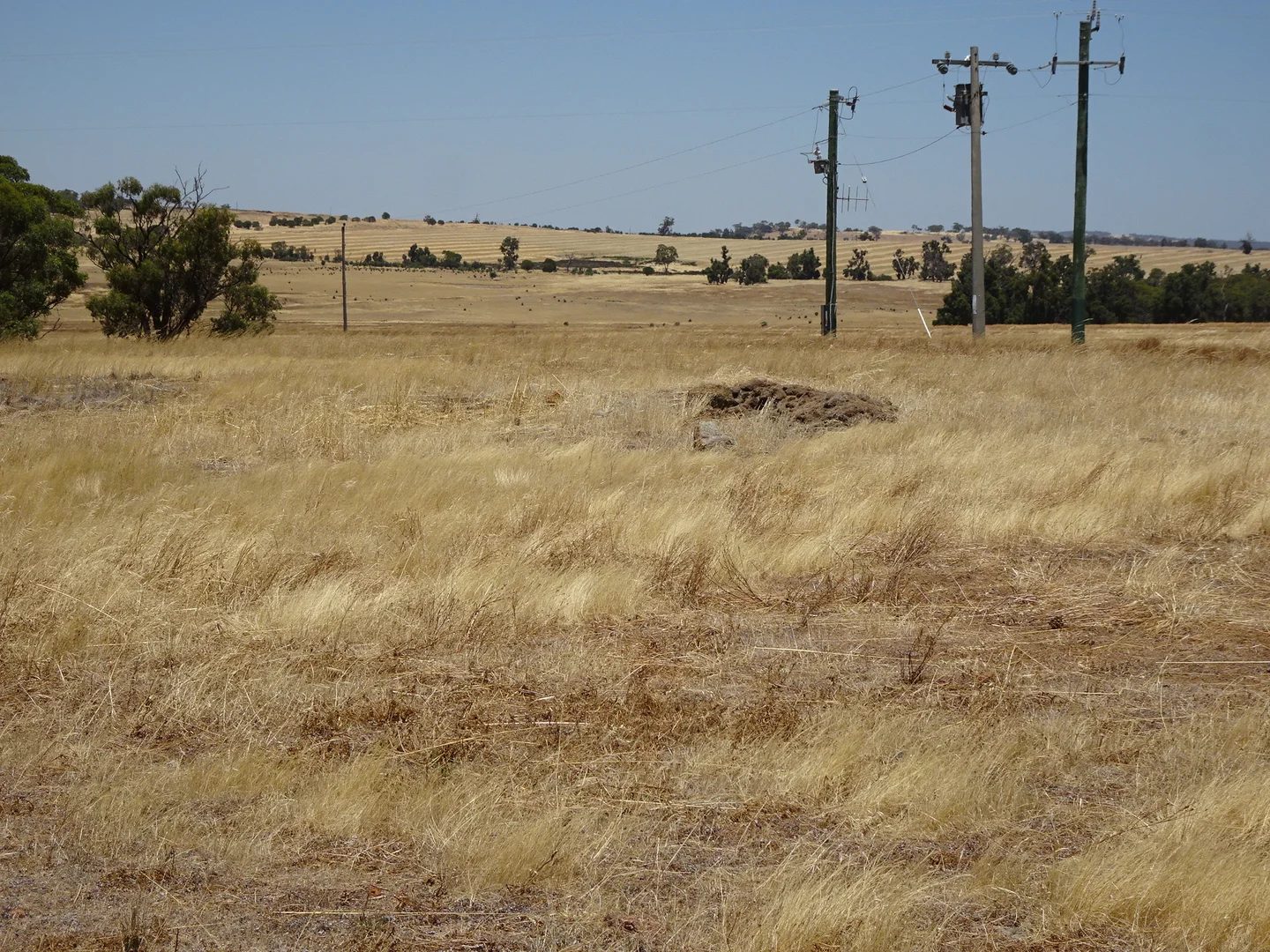 Additional image 6 of 160 Chittleborough Road, Brookton WA 6306