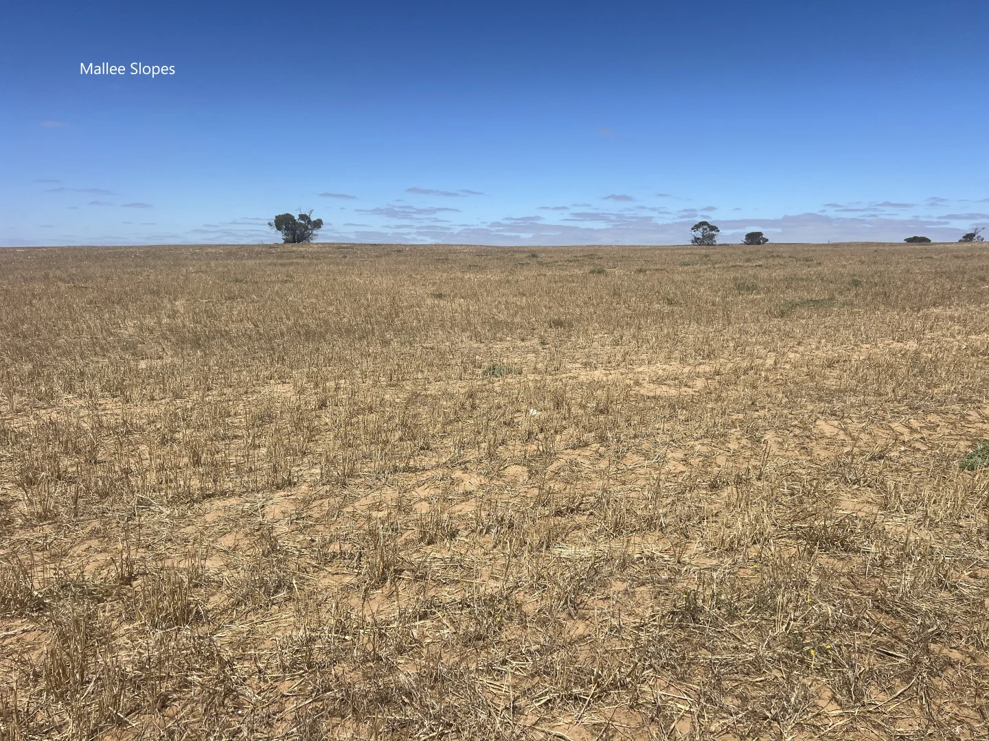 Additional image 25 of 256 Blacket Road, Wynarka SA 5306