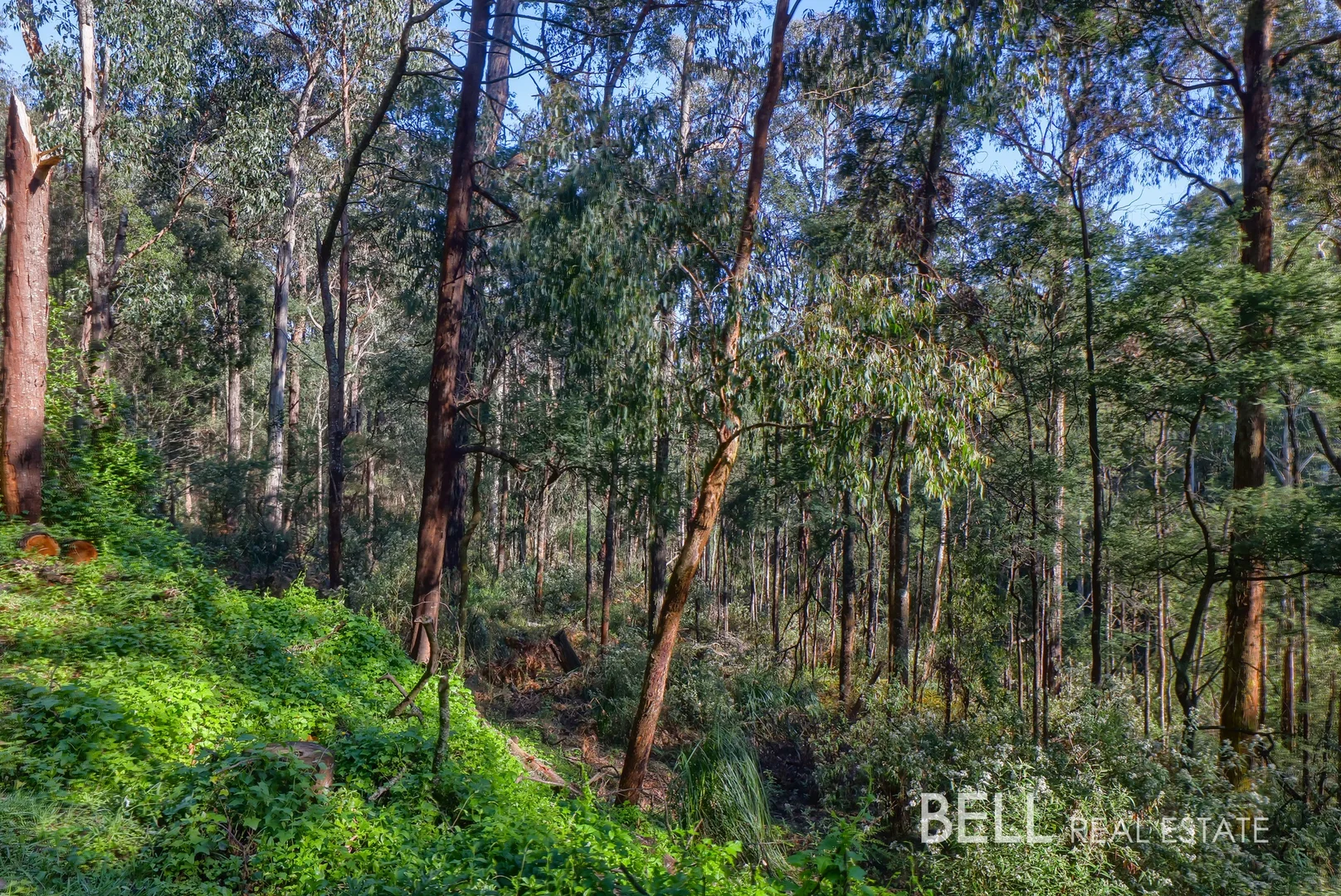 Additional image 4 of Lot 3 Amphlett Avenue, Cockatoo VIC 3781