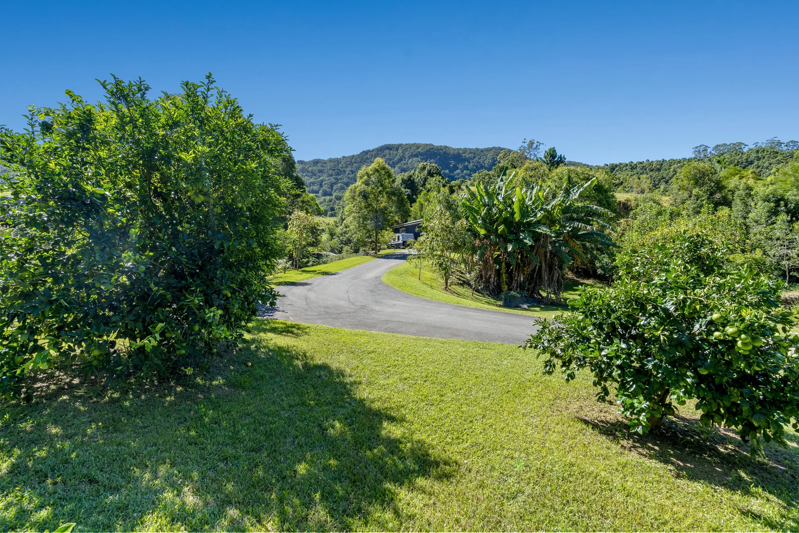 Additional image 4 of 1318 Currumbin Creek Road, Currumbin Valley QLD 4223