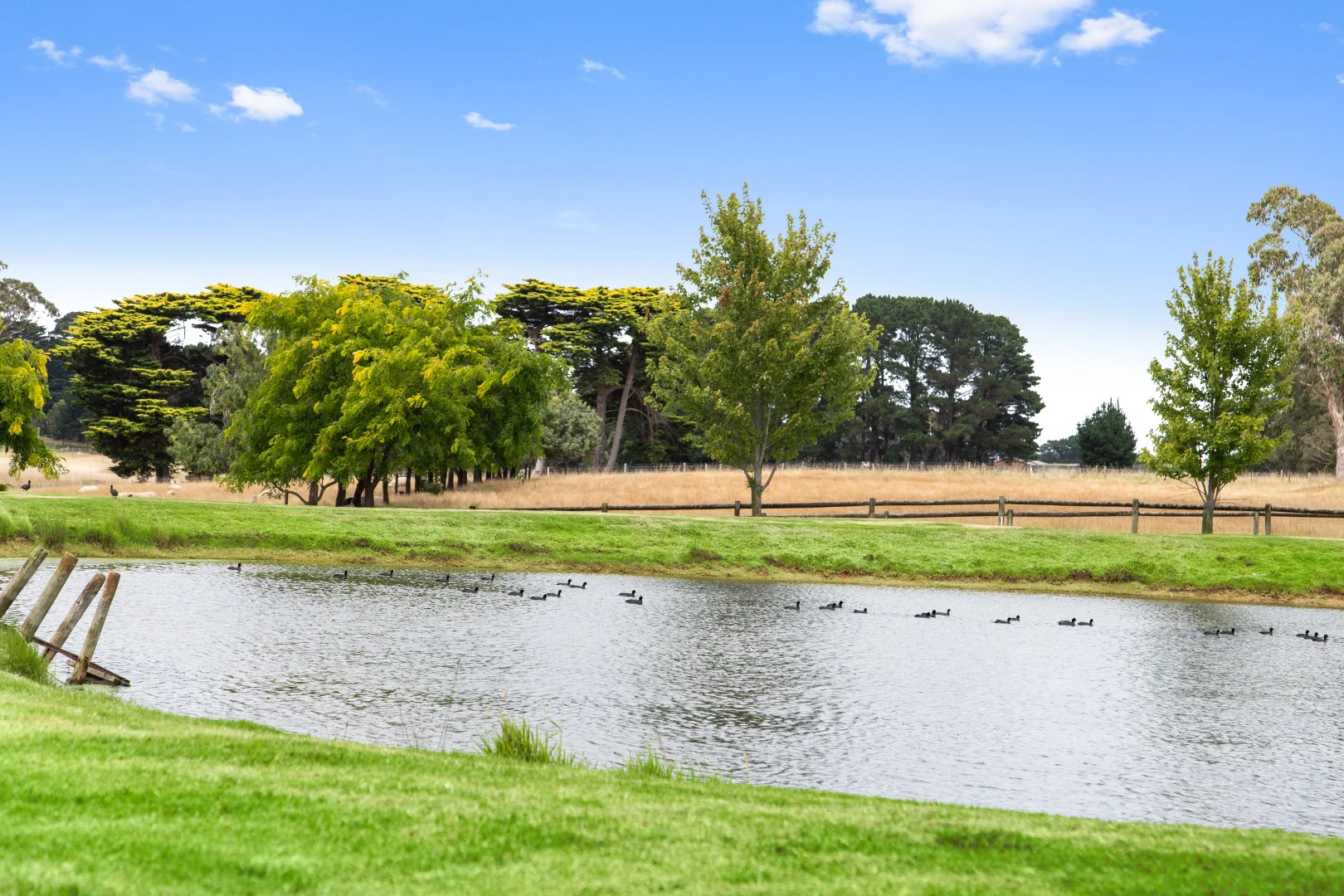 Additional image 20 of 218/218a Coolart Road, Moorooduc VIC 3933